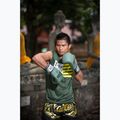 Boxhandschuhe Fairtex F-DAY Limited Edition pickle 5