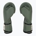 Boxhandschuhe Fairtex F-DAY Limited Edition pickle 4