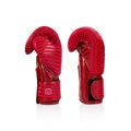 Boxhandschuhe Fairtex Microfiber Art Collections Minimalism Art red 3
