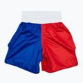 Fairtex Boxing Trunks BT2001 'Philippinen' rot/weiß/blaue Boxershorts 2