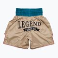 Fairtex Boxing Trunks BT2010 'Vintage' khaki Boxershorts 2