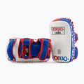 Trainingsschild YOKKAO Curved 2 Stk. thai flag