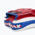 Trainer-Handschuhe YOKKAO Focus Mitts thai flag 4