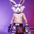 Herren-Trainingsshorts YOKKAO Angry Rabbit Muay Thai black 6