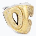 Top King Super Star weiß/goldener Boxhelm 2