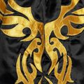 Training Shorts Herren Top King Kickboxing 4