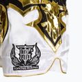 Trainingsshorts Top King Kickboxing multicolor 4