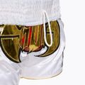 Trainingsshorts Top King Kickboxing multicolor 5