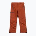 Herren Snowboardhose Volcom L Gore-Tex Pant Burnt Orange 10