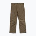 Herren Snowboardhose Volcom L Gore-Tex Pant Teak 9