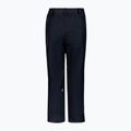Men's Volcom L Gore Tex Snowboardhose schwarz G1351904-BLK 2