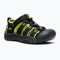 Kinder-Sandalen KEEN Newport H2 black/lime green