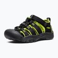 Kinder-Sandalen KEEN Newport H2 black/lime green 4
