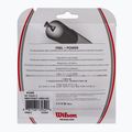 Wilson NXT Power 17 Tennissaite 12 2 m weiß WRZ941700+ 2