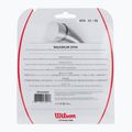 Wilson Revolve 16 Tennissaite 12 2m schwarz WRZ946800+ 2