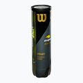 Tennisbälle Wilson US Open XD 4 Stk. yellow 3