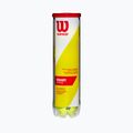 Wilson Champ Xd Tball Tennisbälle 4 Stück gelb WRT110000 2