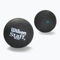 Wilson Staff Ball Blue Dot Squashbälle 3 Stück schwarz.