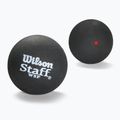 Wilson Staff Ball Red Dot Squashbälle 3 Stück schwarz.