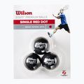 Wilson Staff Ball Red Dot Squashbälle 3 Stück schwarz. 2
