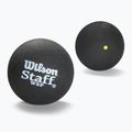 Wilson Staff Ball Yellow Dot Squashbälle 3 Stück schwarz.