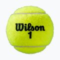 Wilson Roland Garros All Ct Tennisbälle 3 Stück gelb WRT126400 2