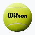 Wilson Roland Garros Mini Jumbo 5