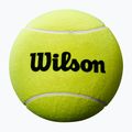 Wilson Roland Garros Jumbo 9