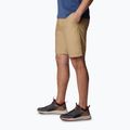 Columbia Washed Out Herren-Trekking-Shorts braun 1491953243 3