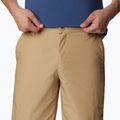 Columbia Washed Out Herren-Trekking-Shorts braun 1491953243 4