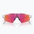 Sonnenbrille Oakley Radar EV Pitch polished white/prizm field 2