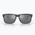 Oakley Holbrook mattschwarz/prizm schwarz polarisierte Sonnenbrille 3