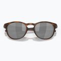 Sonnenbrille Oakley Latch matte brown tortoise 5