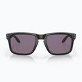 Oakley Holbrook mattschwarz/prizm grau Sonnenbrille 2