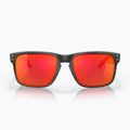 Oakley Holbrook mattschwarz/prizm ruby Sonnenbrille 2