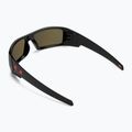 Oakley Gascan Sonnenbrille poliert schwarz/prizm Rubin 2