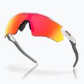 Oakley Radar EV Path Sonnenbrille poliert weiß/prizm ruby 4