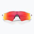 Oakley Radar EV Path Sonnenbrille poliert weiß/prizm ruby 5