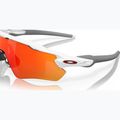 Oakley Radar EV Path Sonnenbrille poliert weiß/prizm ruby 6