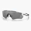 Oakley Radar EV Pfad poliert weiß/prizm schwarz polarisierte Sonnenbrille