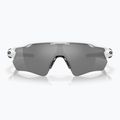 Oakley Radar EV Pfad poliert weiß/prizm schwarz polarisierte Sonnenbrille 2