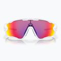 Sonnenbrille Oakley Jawbreaker polished white/prizm road 2