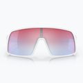 Oakley Sutro-Sonnenbrille 2