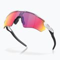 Sonnenbrille Kinder Oakley Radar EV XS Path matte white/prizm road 4