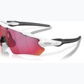 Sonnenbrille Kinder Oakley Radar EV XS Path matte white/prizm road 6