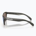 Oakley Frogskins XXS grau rauch/prism sapphire Kindersonnenbrille 3
