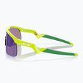 Sonnenbrille Kinder Oakley Resistor retina burn/prizm jade 4