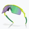 Sonnenbrille Kinder Oakley Resistor retina burn/prizm jade 5