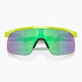 Sonnenbrille Kinder Oakley Resistor retina burn/prizm jade 6