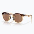 Oakley Hstn dunkel bernstein/hell curry Sonnenbrille 6